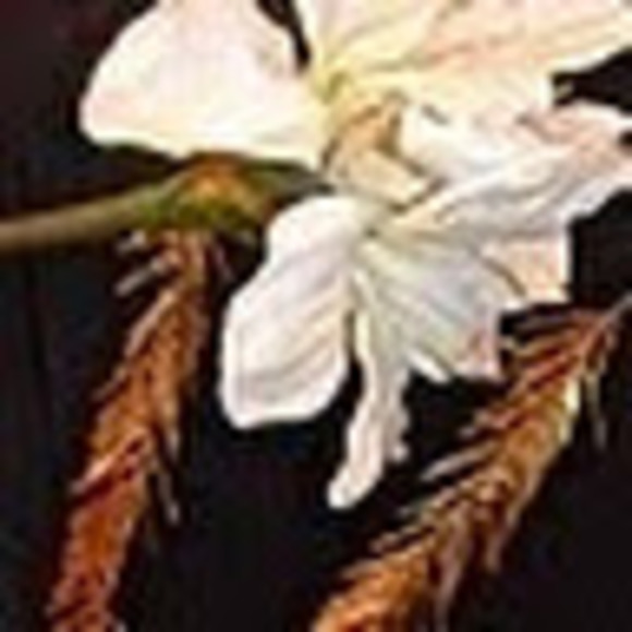 Meet your Posher, Connie - Picture 1 of 1